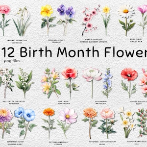 Clipart de fleurs à l'aquarelle, illustrations florales du mois de naissance, célébration d'anniversaire, illustration florale, décoration d'anniversaire, bricolage