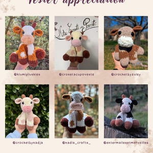 K&ouml;nnte beinhalten: Ein Bild mit sechs handgefertigten geh&auml;kelten Kuh-Pl&uuml;schtieren in verschiedenen Farben und Designs. Der Text "Tester appreciation" steht oben. Jedes Pl&uuml;schtier hat einzigartige Merkmale, darunter Schals und unterschiedliche Farbmuster. Social-Media-Handles sind enthalten.