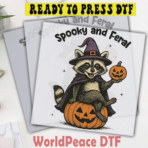 Spooky And Feral Dtf Transfer,Retro Halloween Raccoon Witch Pumpkin, Ready To Press, Heat Press Transfer, Direct To Film, High Quality Print