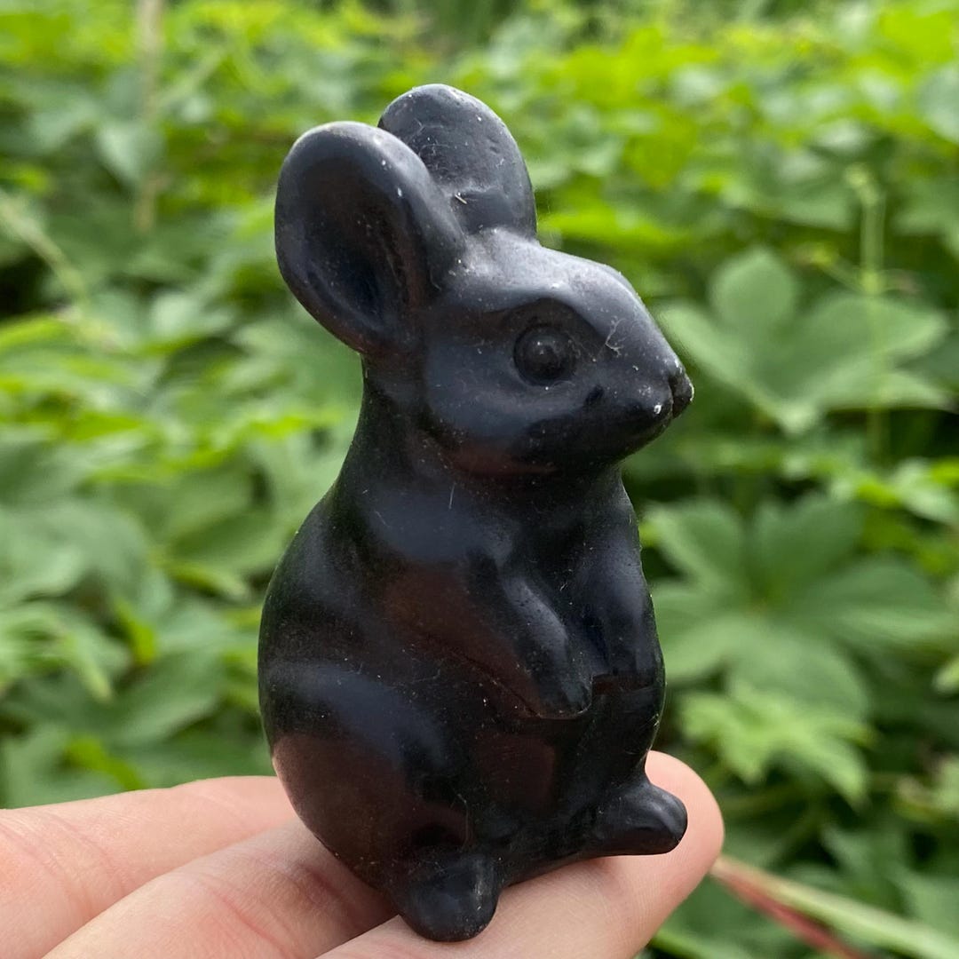 手彫りクリスタルウサギ＆スカル：天然フローライトヒーリングギフト