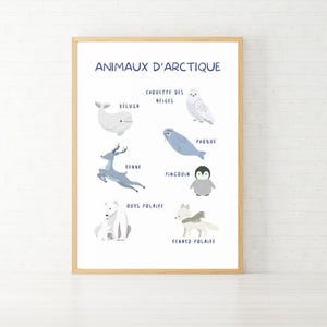 Pädagogisches Poster mit arktischen Tieren auf Französisch, pädagogisches und dekoratives Poster für Kinderzimmer, Klassenzimmer, DIGITALER DOWNLOAD