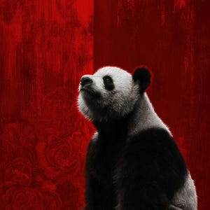 Panda luminoso nella stanza cremisi – 芍薬と赤に染まるパンダの静寂