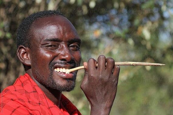 African Toothbrush Stick/ Native Toothbrush Stick (10pcs)