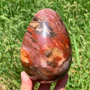 May include: A polished, egg-shaped piece of petrified wood featuring a smooth, glossy surface with a complex pattern of deep red, burnt orange, brown, and cream-coloured swirls that mimic the natural grain and texture of ancient fossilised timber.