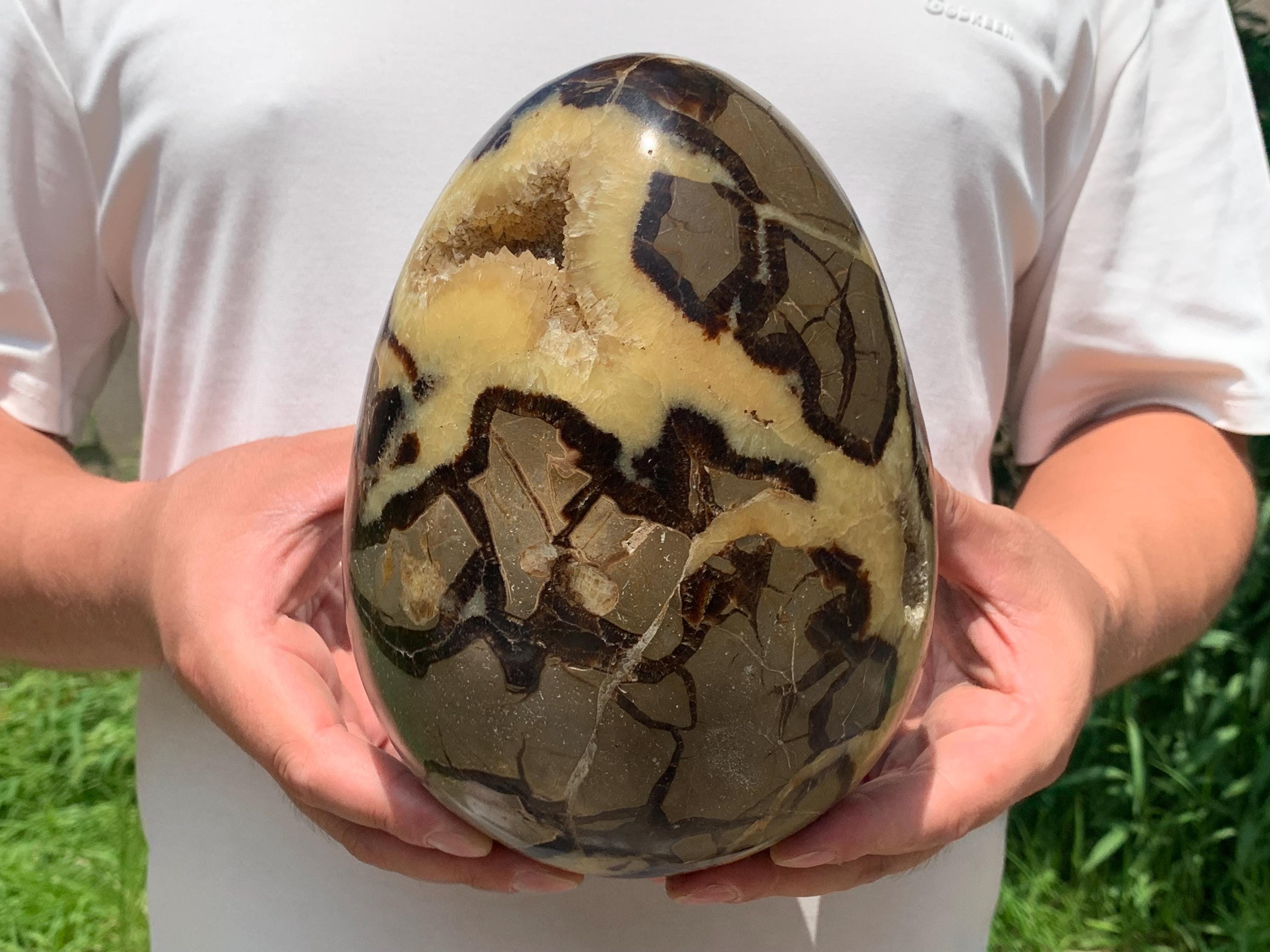 Septarian Egg - Etsy