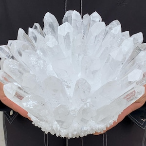 Pode incluir: Um grande aglomerado esférico de cristais de quartzo claros e translúcidos. O espécime apresenta numerosas pontas de cristal afiadas que irradiam de uma base central, criando uma formação mineral densa, multifacetada e de cor branca brilhante.