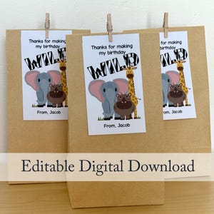 May include: Three brown paper gift bags with attached tags. Each tag features an illustration of an elephant, giraffe, and hippo with the word "WILD" and the text "Thanks for making my birthday". The text "From, Jacob" is also included.