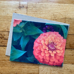 Oranje Zinnia - Notitiekaart met foto - Gratis verzending
