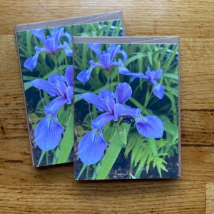 Native Iris - Notecard met foto - Gratis verzending