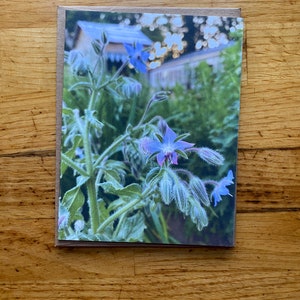 Bernagie - Notitiekaart met foto - Gratis verzending