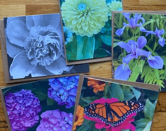 Blooms - Photo Notecard Set - Free Shipping