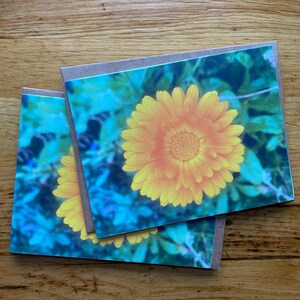 Calendula - Notitiekaart met foto - Gratis verzending