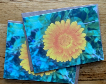 Calendula - Photo Notecard - Free Shipping