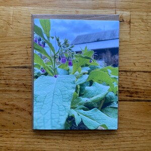 Bernagie - Notitiekaart met foto - Gratis verzending
