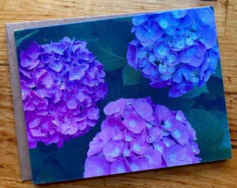 Pink Hydrangea- Photo Notecard - Free Shipping