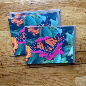 Monarch en Zinnia - Notecard met foto - Gratis verzending
