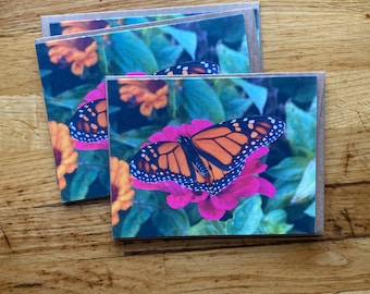 Monarch and Zinnia - Photo Notecard - Free Shipping