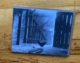 Hen and chick - Photo Notecard - Free Shipping