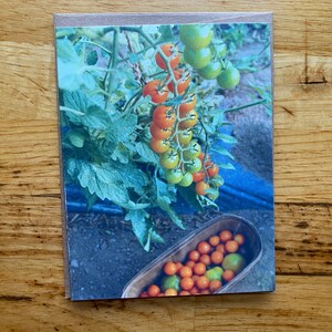 Sungold tomaat - Notecard met foto - Gratis verzending