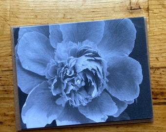 Black and White Peony - Photo Notecard - Free Shipping