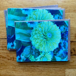 Groene Zinnia - Notecard met foto - Gratis verzending