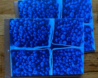 Blueberries - Photo Notecard - Free Shipping