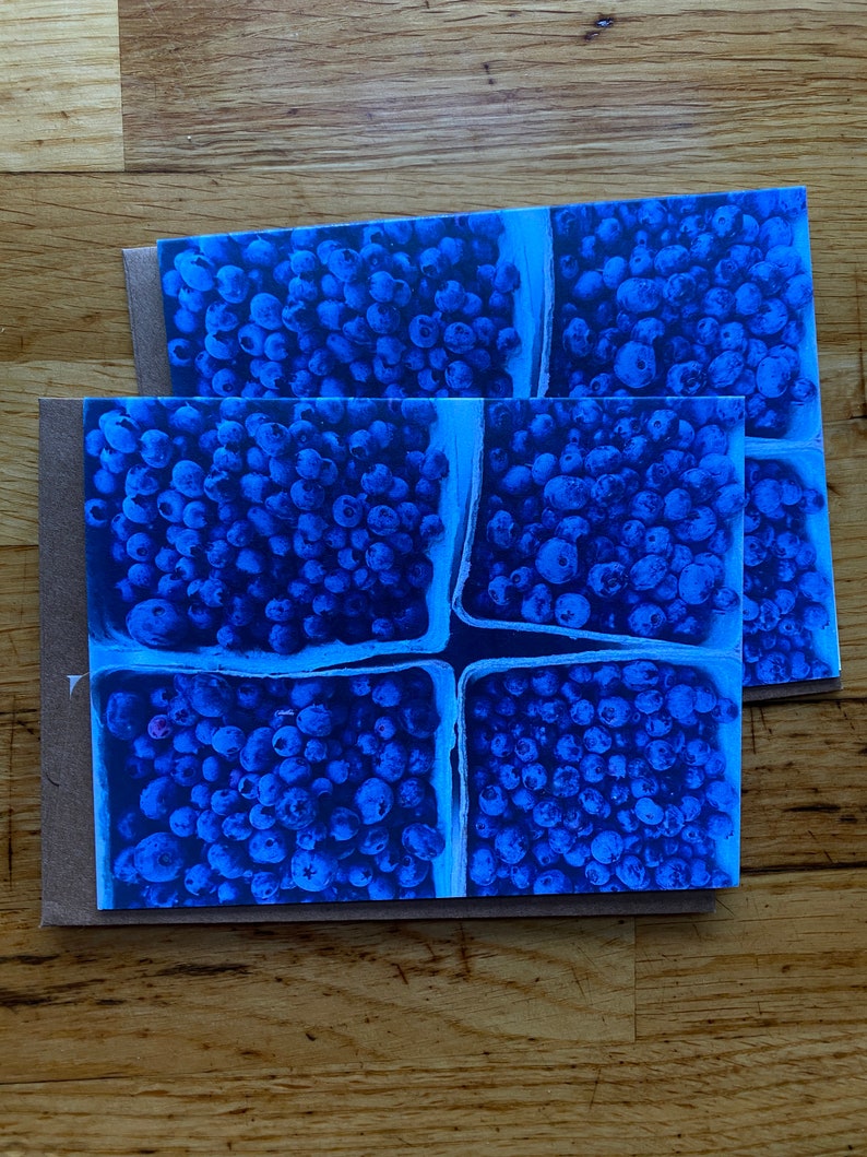 Blueberries Photo Notecard Free Shipping image 1