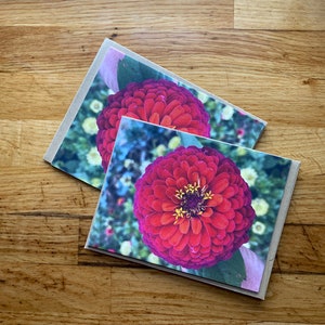 Ombre Zinnia - Notitiekaart met foto - Gratis verzending