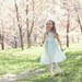 Erin Brandenburg reviewed Special occasion flower girl mint linen dress - Spring weddings children clothing