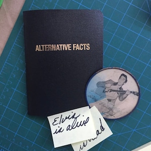 ALTERNATIVE FACTS-The hand-made original notebook/journal image 1