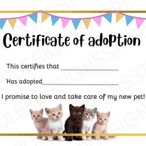 Cat Adoption Certificate - Printable Download - Children’s Birthday Party Cat Theme