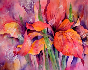 Abstract Iris, Iris Watercolor, Wild Iris Pink - Original Painting