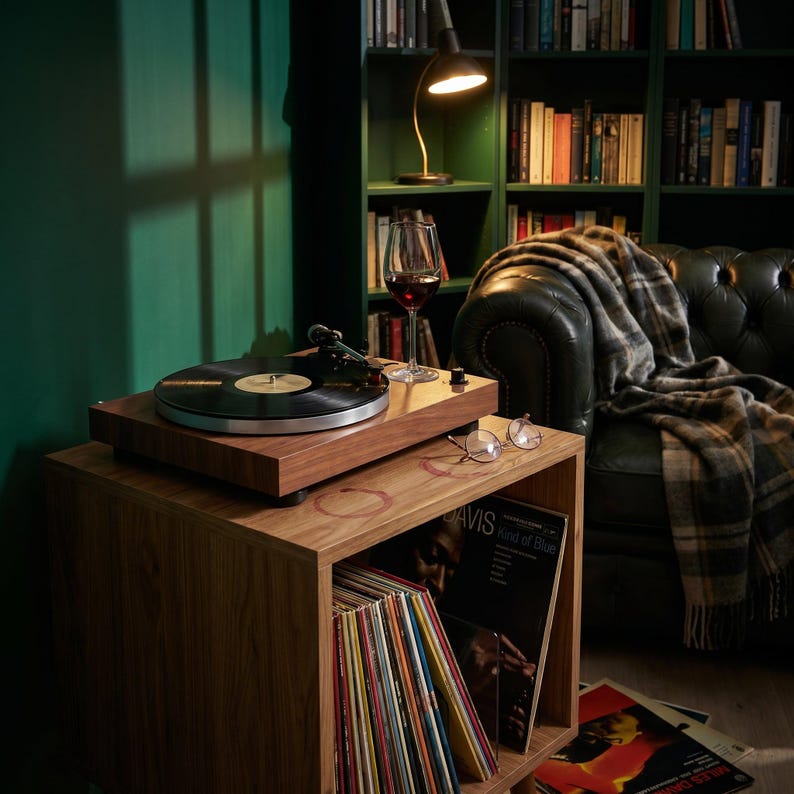 Mid Century Modern Vinyl Record Player Stand, Wooden LP Storage
