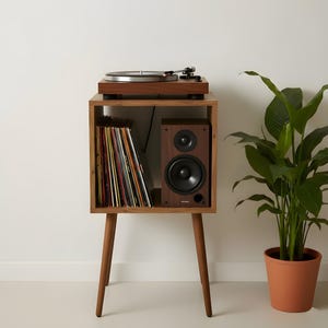 Mid Century Modern Vinyl Record Player Stand, Wooden LP Storage
