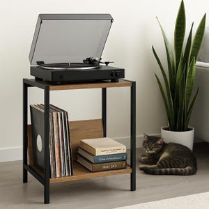 Turntable stand, Atlantic pine wood, vinyl record shelf unit