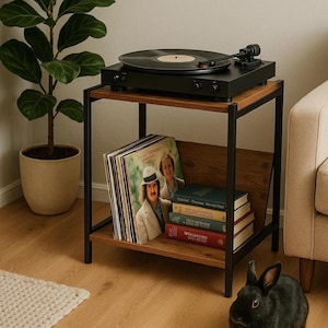 Mid-Century Modern Vinyl Record Player Stand: Boho Console Table