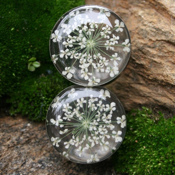 Real Flower Plugs Queen Annes Lace in Resin for gauged ears custom size 9/16", 5/8", 3/4", 7/8", 1", 14mm, 16mm, 19mm, 22mm, 25mm
