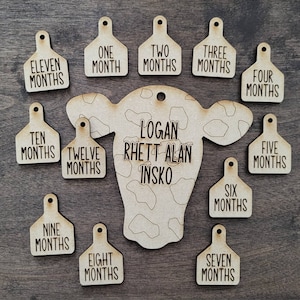 Ornement de bébé d'étapes mensuelles de vache, fichier laser numérique, svg, Glowforge, Noël 2023, accessoire photo de bébé vache