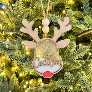 Santa's Reindeer SHAKER aangepaste naam kerstornament, koustag, 2023, digitaal laserbestand, svg, Glowforge