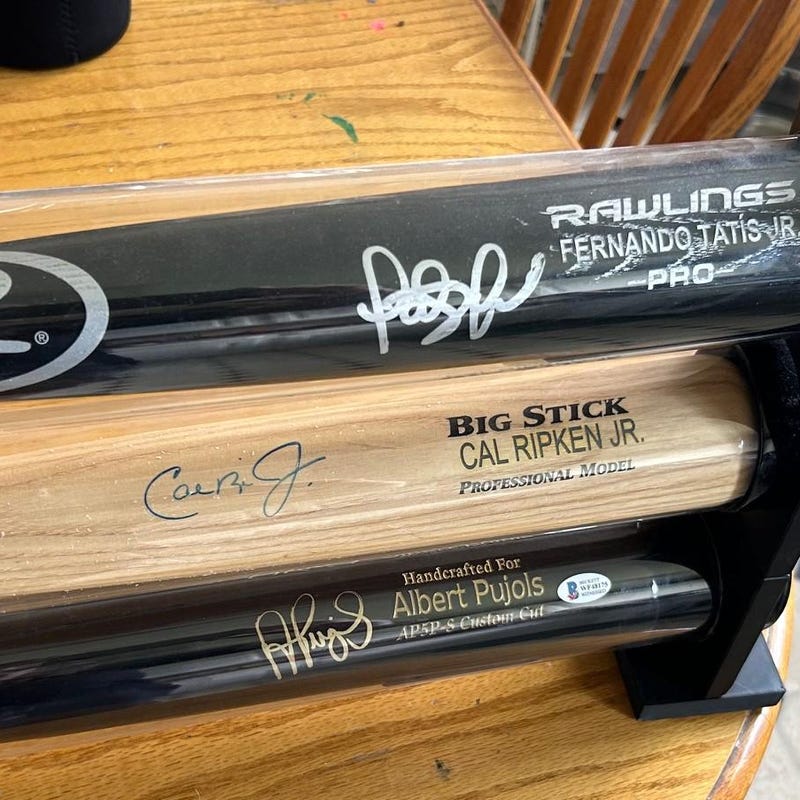 Bat Picture Frame 3 - Etsy