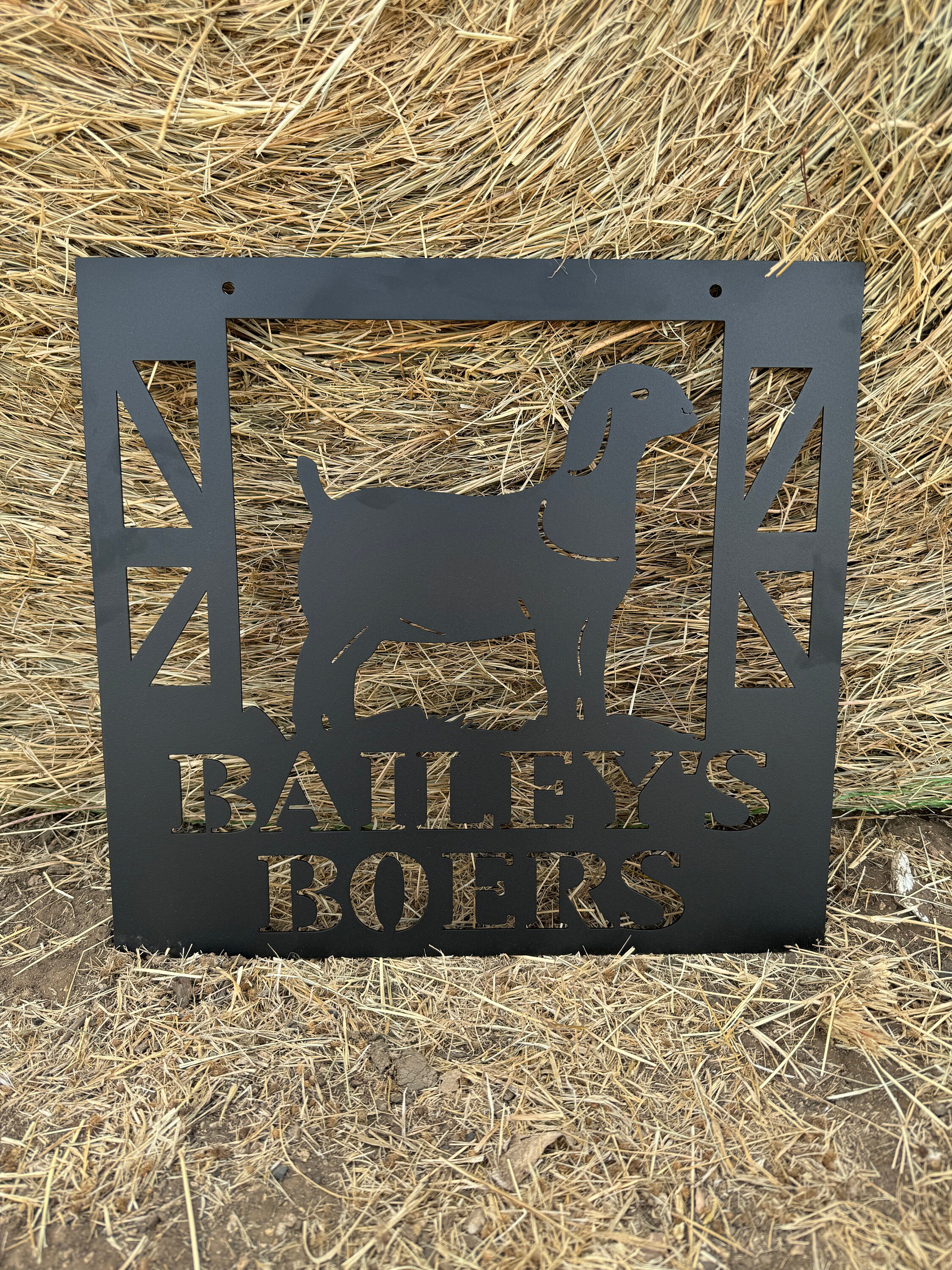 Show Boer Goat 4h County Animal Plaque Sign Stall Marker - Etsy