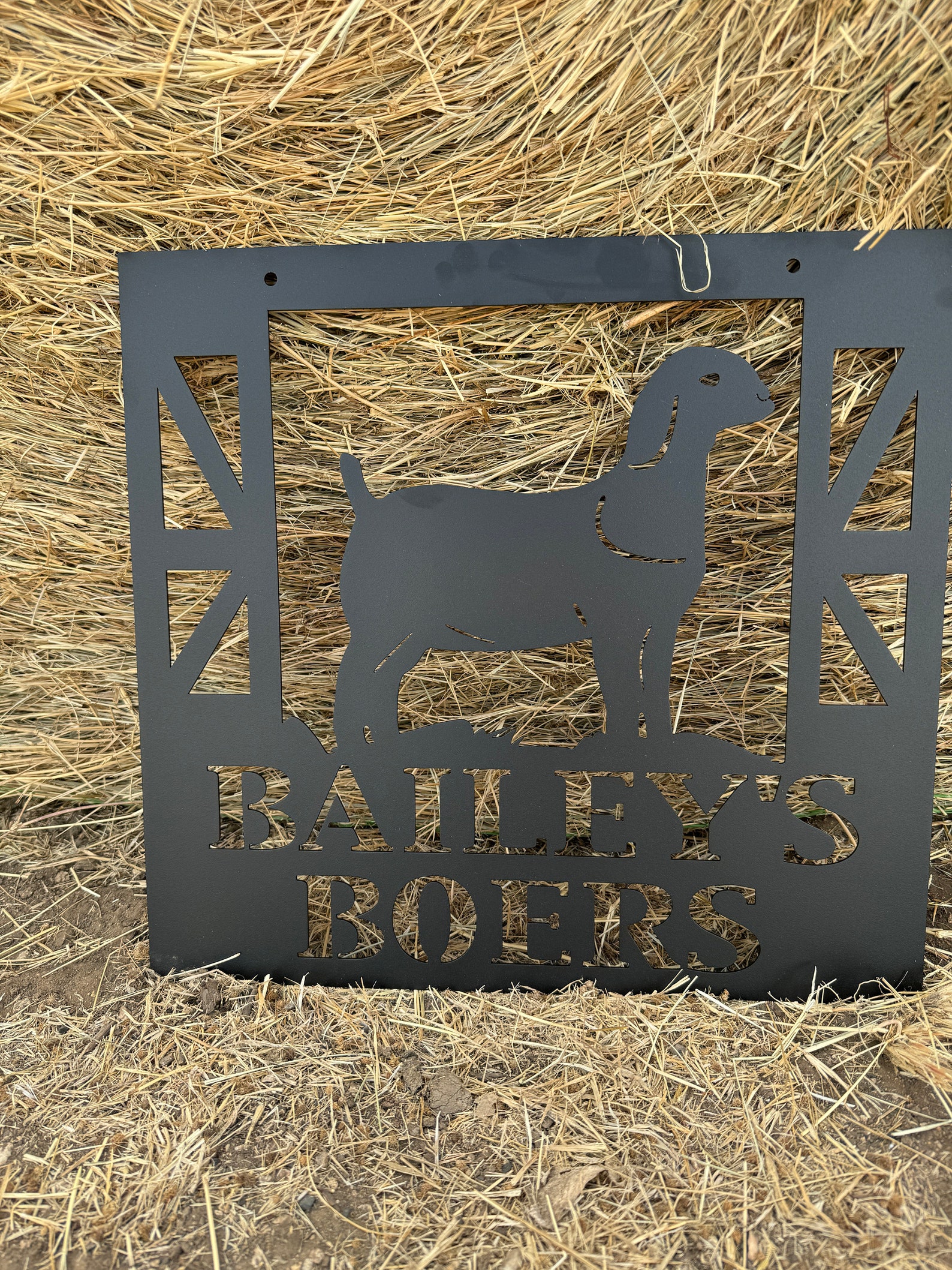 Show Boer Goat 4h County Animal Plaque Sign Stall Marker - Etsy