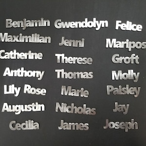 May include: A collection of silver metal name tags with various names, including Benjamin, Gwendolyn, Felice, Maximilian, Jenni, Mariposa, Catherine, Therese, Groft, Anthony, Thomas, Molly, Lily Rose, Marie, Paisley, Augustin, Nicholas, Jay, Cecilia, James, and Joseph.