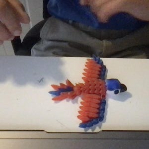 flexi Papagei