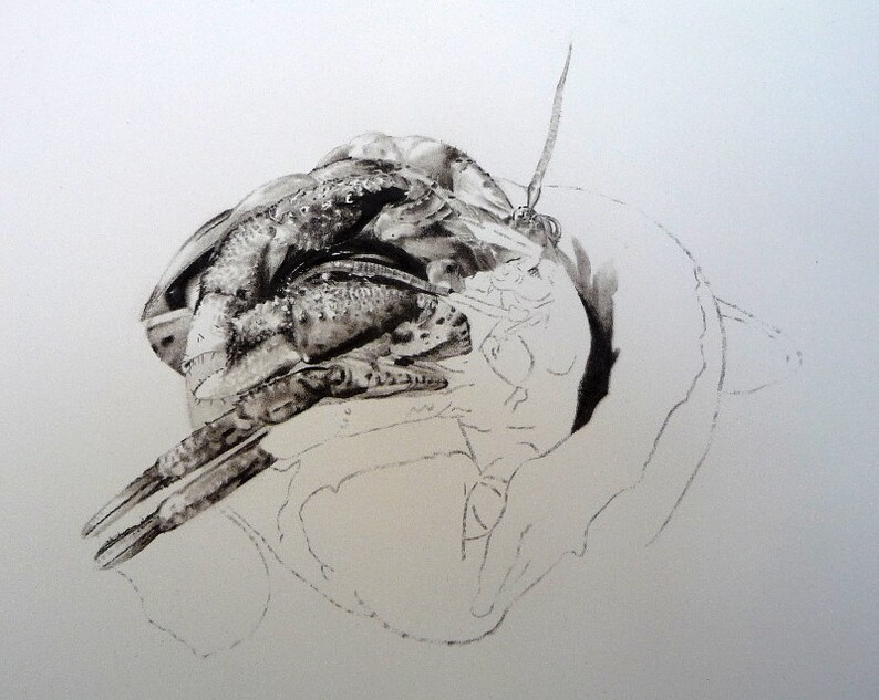 Hermit Crab Charcoal Drawing Original Artwork Pencil Etsy