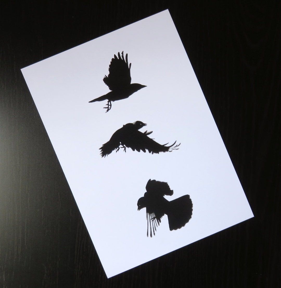 カラスアートプリント：白黒木炭画（A5） - Etsy 日本, image size:1080x1109