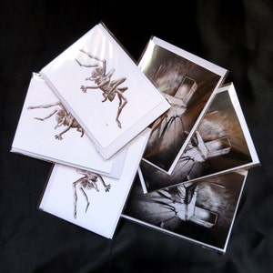 Stephen pack of six gothic horror greeting cards, creepy art cards, macabre print, halloween card, halloween invitation, strange art, weird