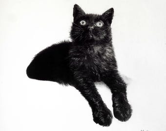 Retrato de animal de estimação exclusivo desenhado à mão a carvão a partir de foto, presente de arte emoldurado personalizado