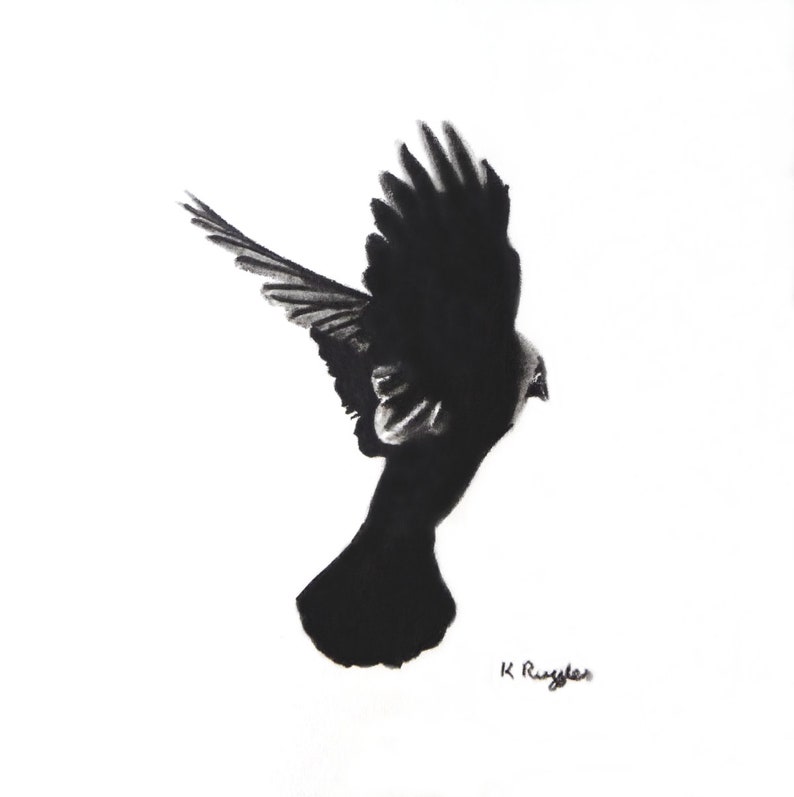 Croquis original au fusain de Choucas, dessin de corbeau, art original, dessin au fusain, dessin au crayon, art des oiseaux, dessin d'oiseaux, art du corbeau, image 2