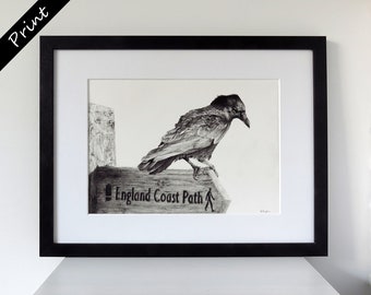 Crow perched on coast path sign fine art print, crow art, crow picture, crow drawing, gothic decor, gothic art, birdwatching